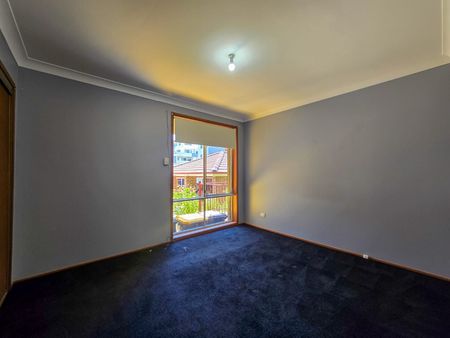 An Abundance of Natural Light - Photo 3