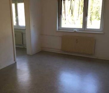 Location Appartement 27.52 M² SAINT-LOUIS 450 € - Photo 4