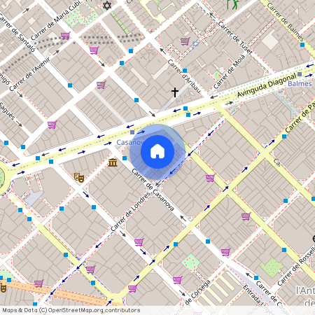 Passatge de Lluís Pellicer, Barcelona, Catalonia 08036