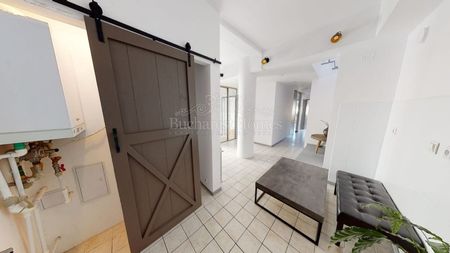 Three Bedroom Bohemian Delight - Icoanei Neighborhood - Photo 3