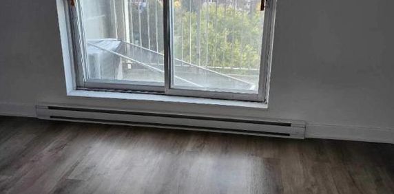 Studio - Gatineau - $1,295 /mo - Photo 2