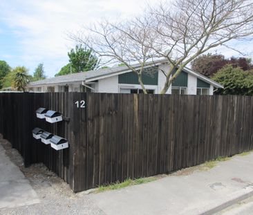 Sunny, Spacious 2 Bedroom Unit in Richmond. - Photo 5