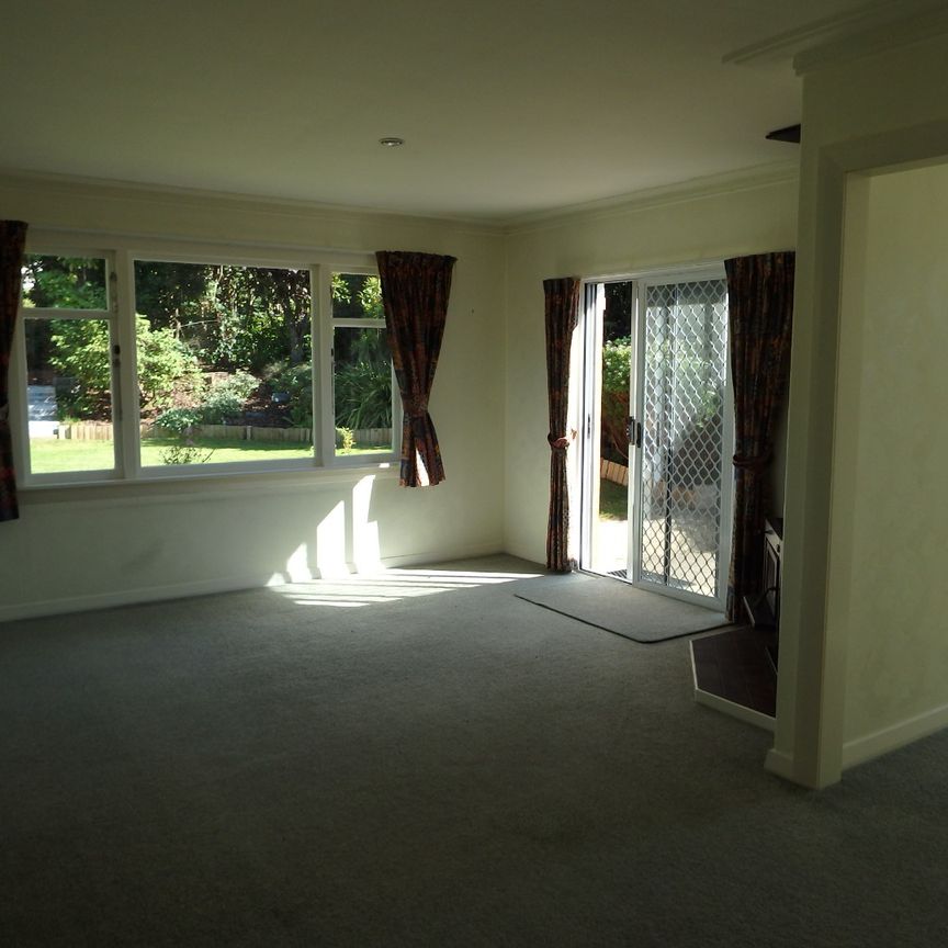 25 Pollock Street, Maori Hill - Photo 1