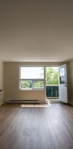 1 CH - 1 SDB - Gatineau - $1,399 /mo - Photo 1