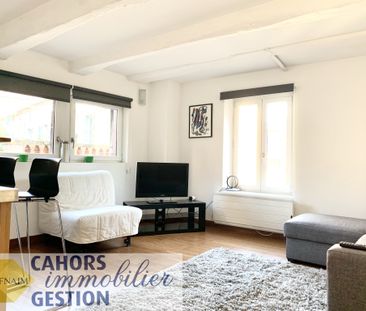 Location Appartement 1 pièce 25m² CAHORS 46000 - Photo 1