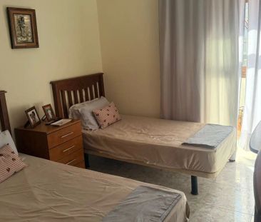 Candelaria - Photo 3