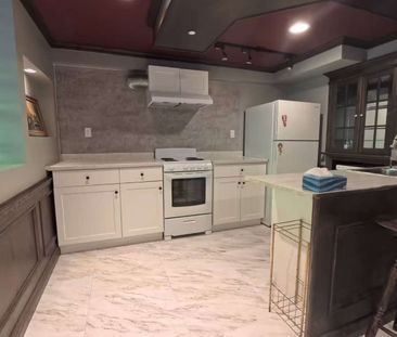 For Lease - 40 Cranberry Lane Unit# Bsmt, Aurora, Ontario - Photo 3