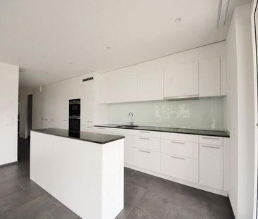 Modern apartment with large seating area - Photo 4