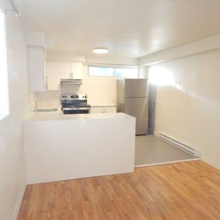 Spacious 1-bedroom Apartment in Cote-des-Neiges - Photo 4