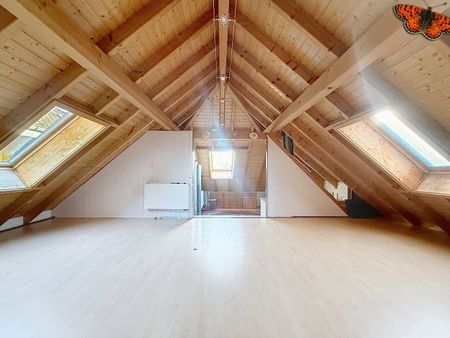 1 Zimmer, 99 m², EG - Photo 3