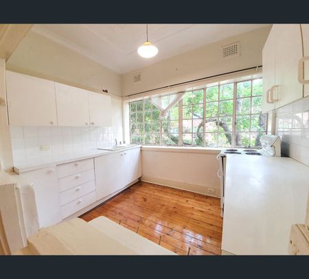 66 Ewart Street, Marrickville, NSW 2204 - Photo 3