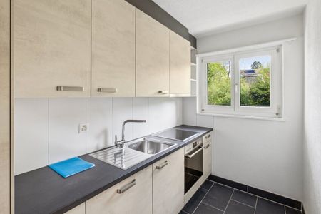 Beautiful apartment in Olten - Photo 3