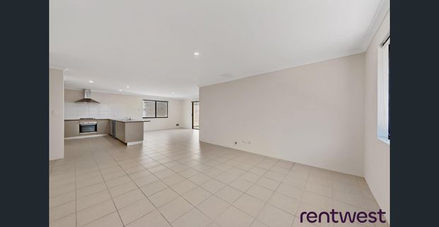 Freshly Painted & Brand New Carpets - Photo 1