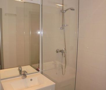 Location Appartement 1 pièce 22m² ECULLY 69130 - Photo 5