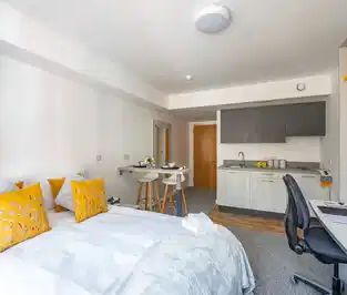 Premium Studio - Photo 6