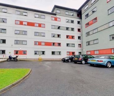 Basic En-suite - Photo 6