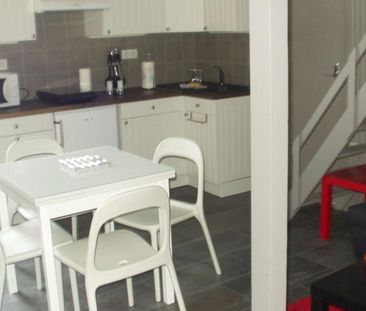 Location appartement 1 pièce - Photo 3