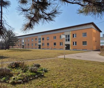 Nette 2-Zimmerwohnung, 43 m² WNFL, inkl. neuer Küche, Parkplätze vo... - Foto 6