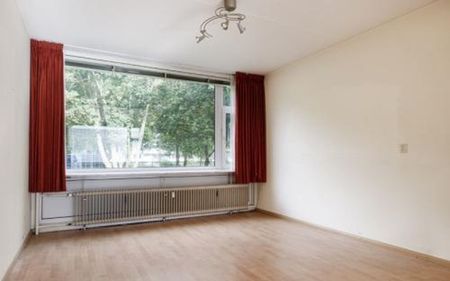 Eisenhowerlaan 3527 HG Utrecht - Foto 4