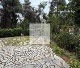 Διαμέρισμα για ενοικίαση - Διόνυσος - Photo 6
