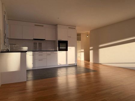 Wunderschöne Stadtwohnung nahe Letzigrund - Photo 4