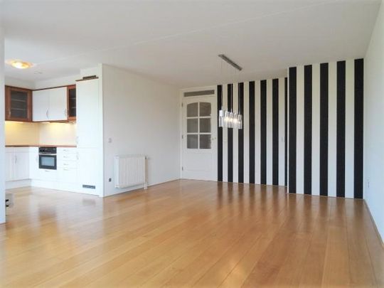 Walter Kollolaan - Photo 1