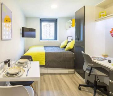 Premium Studio Deluxe - Photo 6