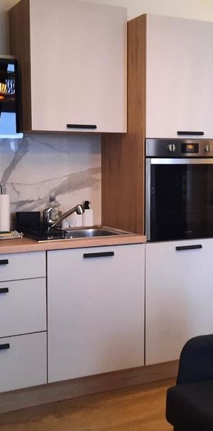 Location Appartement 2 pièces 30m² ALBERTVILLE 73200 - Photo 2