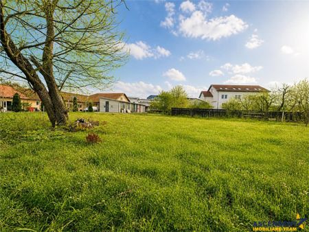 Casa cu 1.924 mp teren, de inchiriat, Sfantu Gheorghe - Photo 3