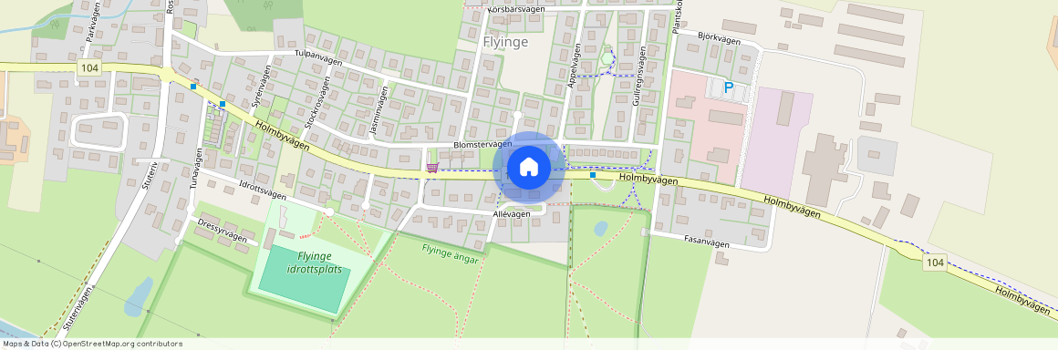 Holmbyvägen, Flyinge