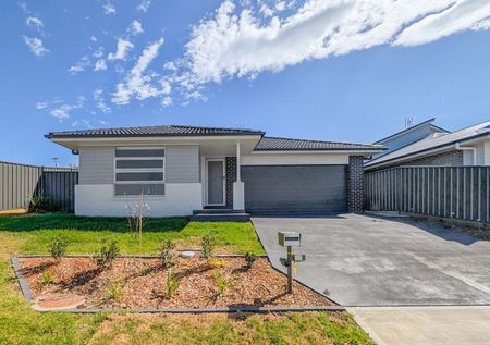 Stunning Brand New Family Home - Photo 3