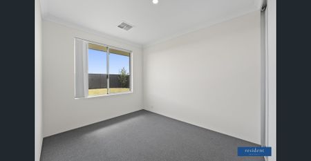 Fresh, Modern & Yours – Plus 1 Week Free Rent! - Photo 5