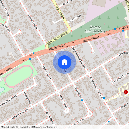 17 Ihle Street, Terrace End, Palmerston North City