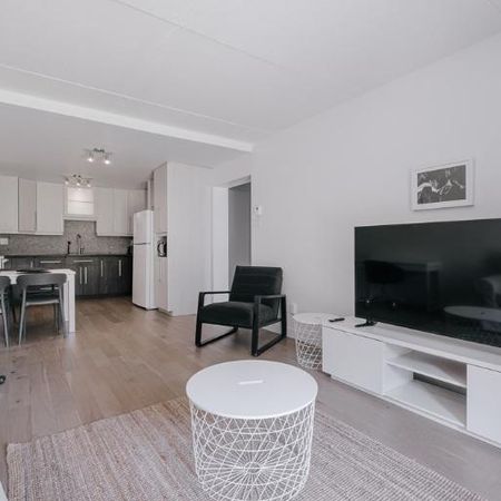 Appartement 3 ½ à louer Sainte-Foy / Sillery octobre 2025 - Photo 3