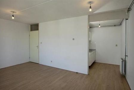 Boeninlaan 1102 TH Amsterdam - Photo 3