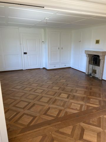 Traumhafte 6.5 Zimmer-Wohnung in historischer Landhausvilla - Foto 3