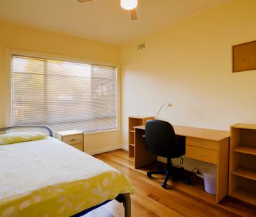 NCH2 Medium - Photo 3