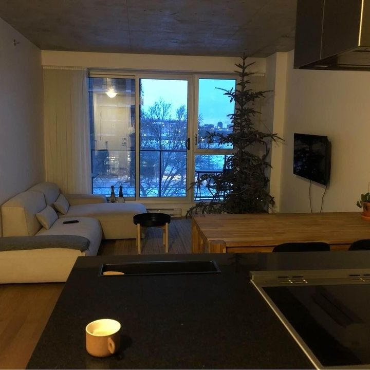 Appartement à louer - Montréal (Le Sud-Ouest) (Griffintown) - Photo 1