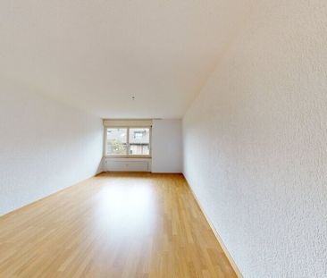Comfortable ground floor apartment in Langnau - Photo 4