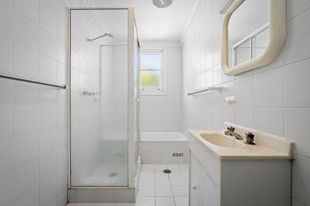 195 Denison Street, Queens Park NSW 2022 - House For Rent | Domain - Photo 4