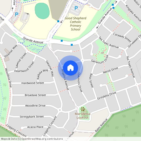 4 Pine Court, Qld 4300, Springfield Lakes