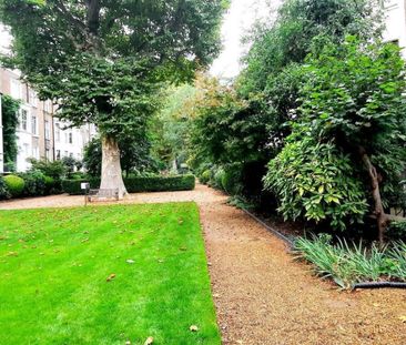 Holland Road - Photo 1
