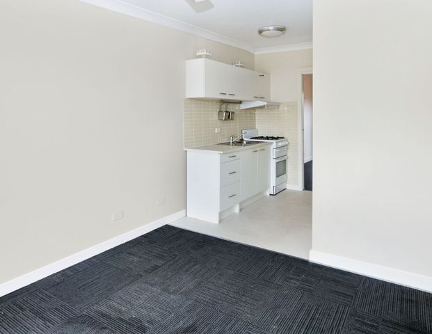 MODERN GRANNY FLAT - Photo 1