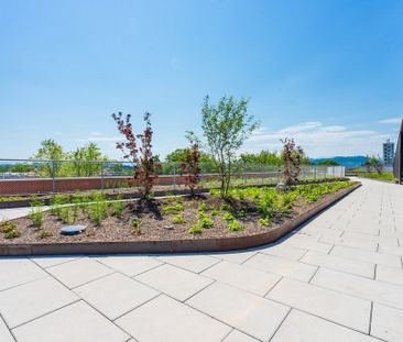 Rent a 2 ½ rooms apartment in Bern - Foto 4