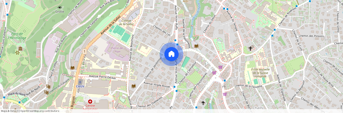 1012, Lausanne, Avenue Victor-Ruffy, 33