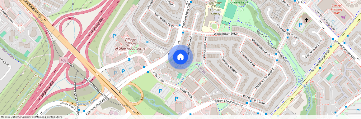 111 Ashridge Court Unit# Basement, Mississauga