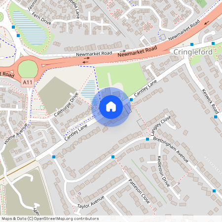 Cantley Lane, Norwich, NR4