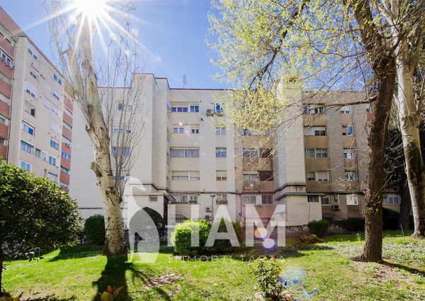 Habitación - Madrid - Pinar del Rey - 475€ MES - Ref. GPP523489