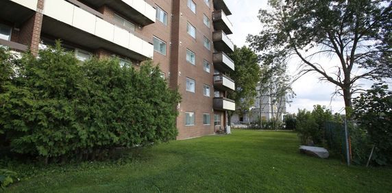 Collingwood Place - Photo 2