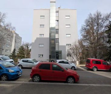 Nájem 1+1, ul. Nad Kajetánkou 42/4, BJ 4, 43,15 m - Photo 6